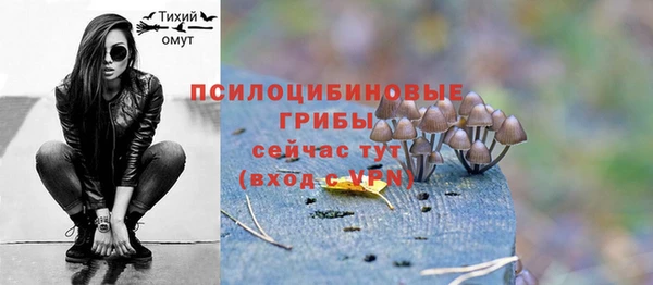 СК Дмитриев