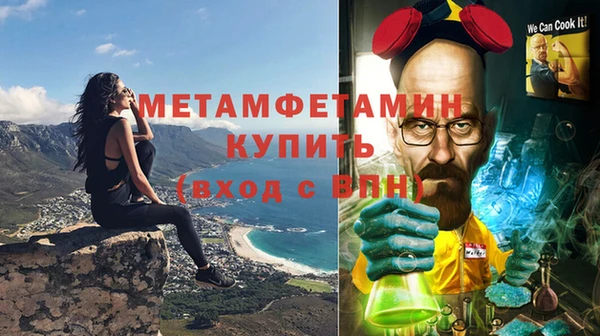 прущие грибы Дмитровск