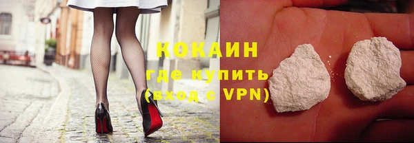 прущие грибы Дмитровск