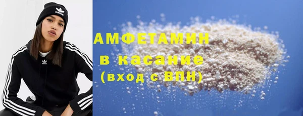 прущие грибы Дмитровск