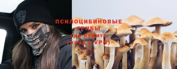 СК Дмитриев