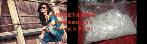 прущие грибы Дмитровск