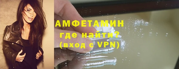 прущие грибы Дмитровск