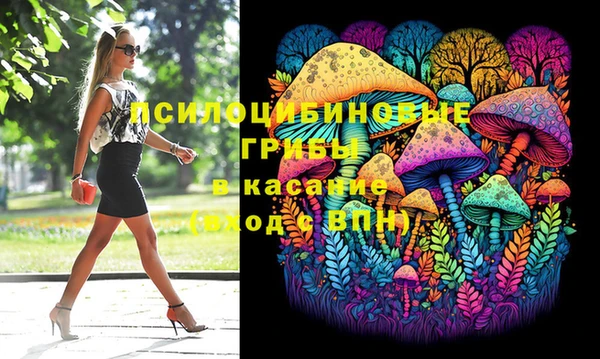 СК Дмитриев