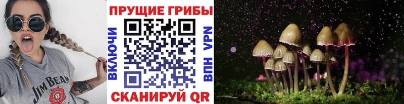 Псилоцибиновые грибы прущие грибы  Добрянка 